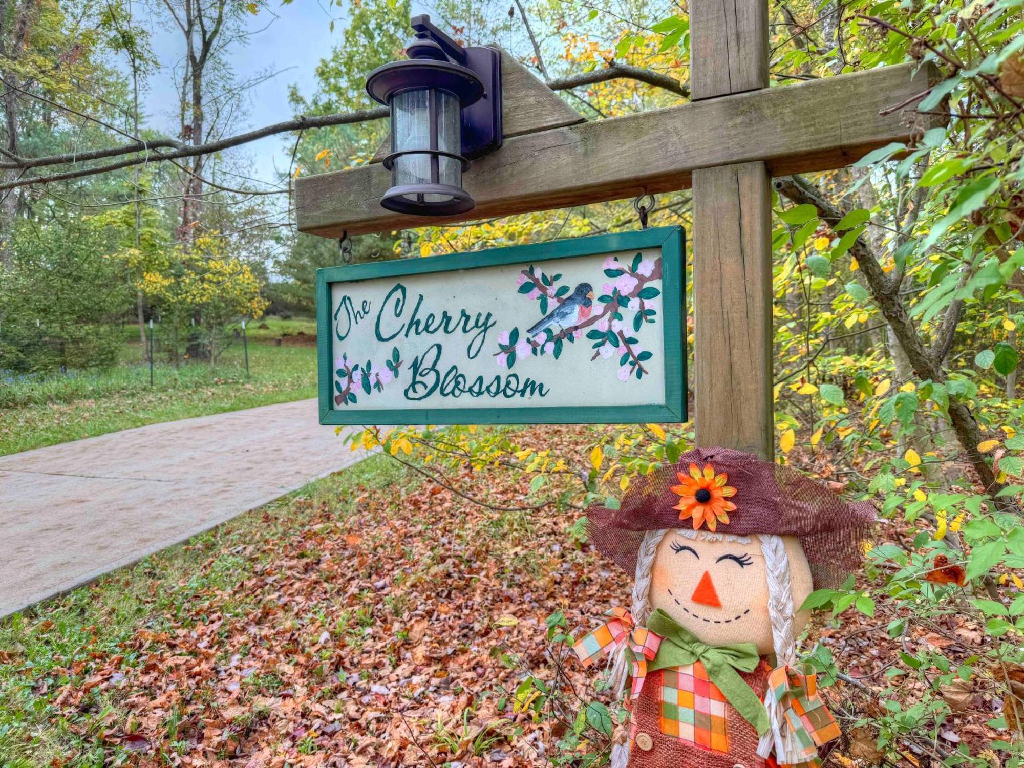 Ferngully Creek Cabins Millersburg Luaran gambar